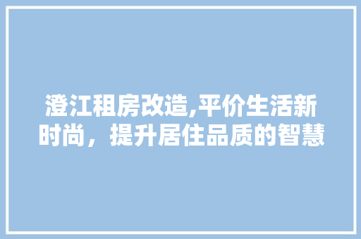 澄江租房改造,平价生活新时尚，提升居住品质的智慧之路