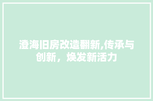澄海旧房改造翻新,传承与创新，焕发新活力