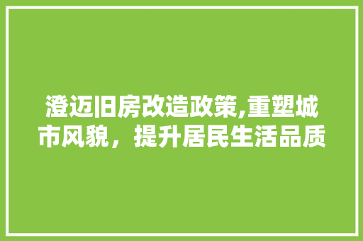 澄迈旧房改造政策,重塑城市风貌，提升居民生活品质