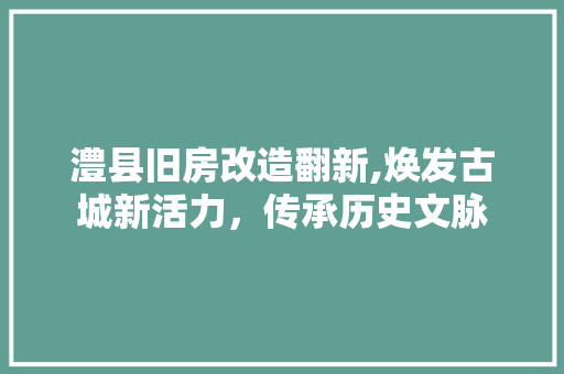 澧县旧房改造翻新,焕发古城新活力，传承历史文脉