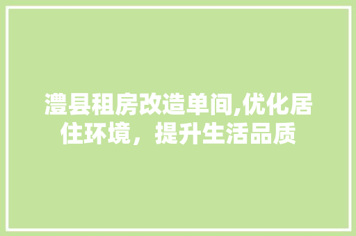 澧县租房改造单间,优化居住环境，提升生活品质