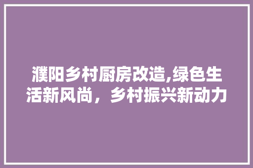 濮阳乡村厨房改造,绿色生活新风尚，乡村振兴新动力