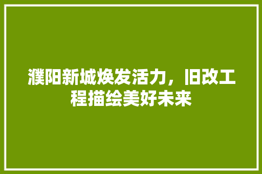 濮阳新城焕发活力，旧改工程描绘美好未来