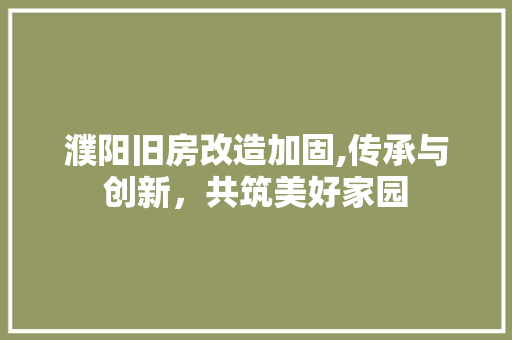 濮阳旧房改造加固,传承与创新，共筑美好家园