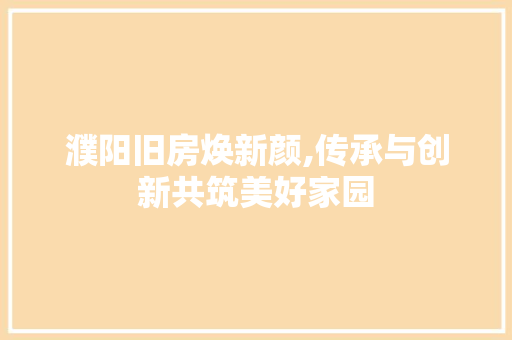 濮阳旧房焕新颜,传承与创新共筑美好家园