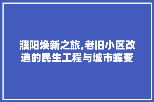 濮阳焕新之旅,老旧小区改造的民生工程与城市蝶变