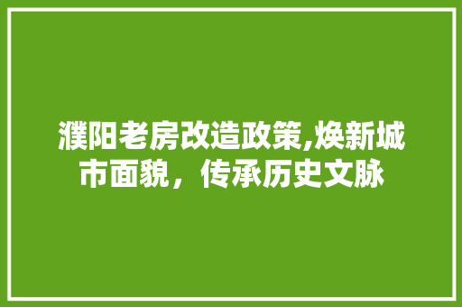 濮阳老房改造政策,焕新城市面貌，传承历史文脉