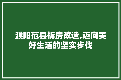 濮阳范县拆房改造,迈向美好生活的坚实步伐