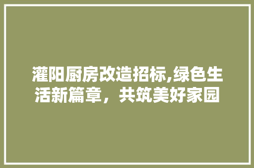 灌阳厨房改造招标,绿色生活新篇章，共筑美好家园