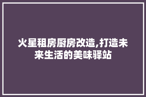 火星租房厨房改造,打造未来生活的美味驿站