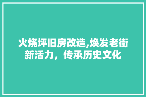 火烧坪旧房改造,焕发老街新活力，传承历史文化