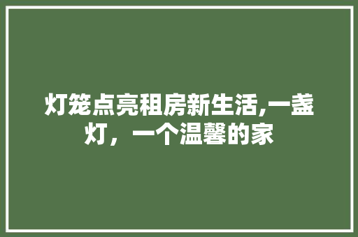 灯笼点亮租房新生活,一盏灯，一个温馨的家 墙体维修