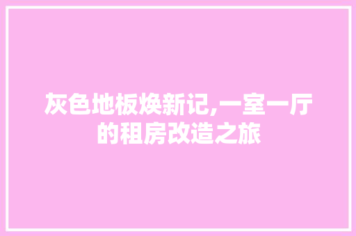 灰色地板焕新记,一室一厅的租房改造之旅