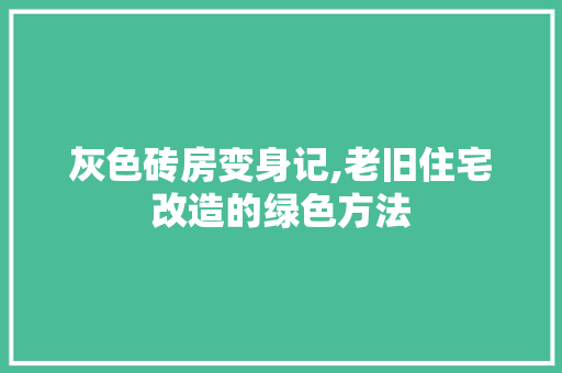灰色砖房变身记,老旧住宅改造的绿色方法