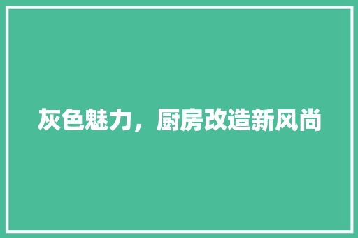 灰色魅力，厨房改造新风尚