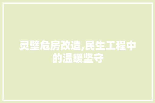 灵壁危房改造,民生工程中的温暖坚守