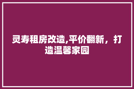 灵寿租房改造,平价翻新，打造温馨家园