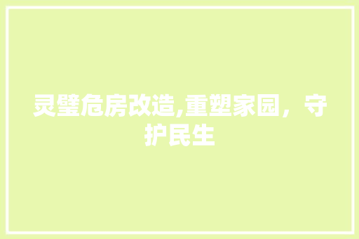 灵璧危房改造,重塑家园，守护民生