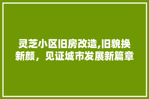 灵芝小区旧房改造,旧貌换新颜，见证城市发展新篇章