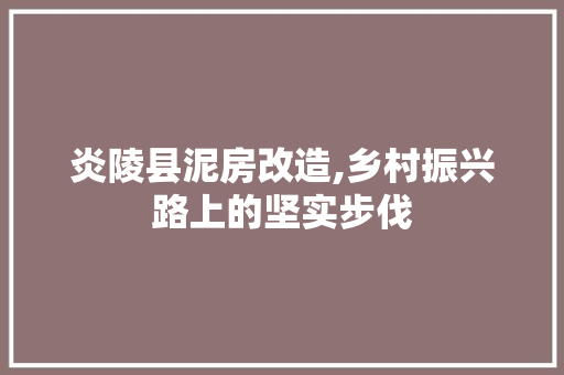 炎陵县泥房改造,乡村振兴路上的坚实步伐