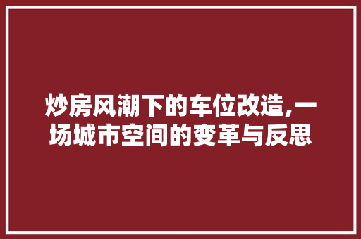炒房风潮下的车位改造,一场城市空间的变革与反思