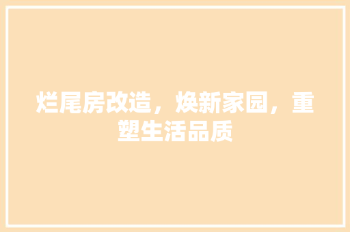 烂尾房改造，焕新家园，重塑生活品质