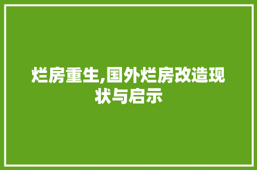 烂房重生,国外烂房改造现状与启示