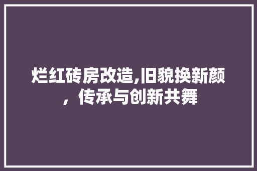 烂红砖房改造,旧貌换新颜，传承与创新共舞