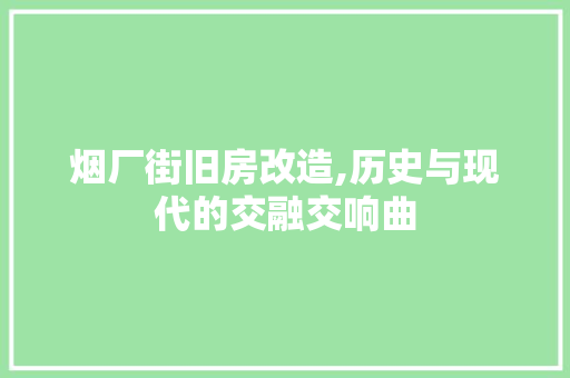烟厂街旧房改造,历史与现代的交融交响曲