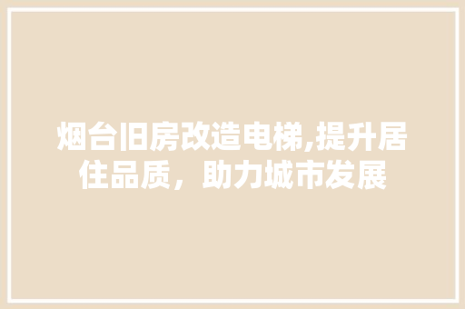 烟台旧房改造电梯,提升居住品质，助力城市发展