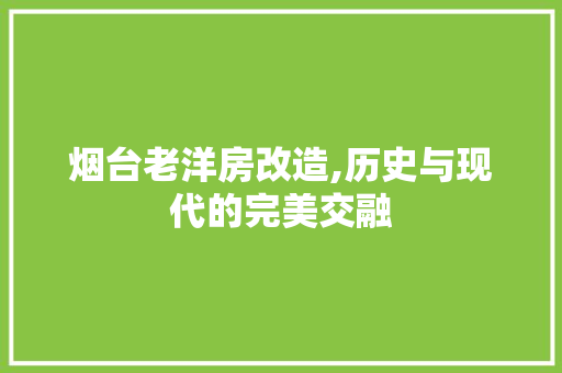 烟台老洋房改造,历史与现代的完美交融 厨房维修