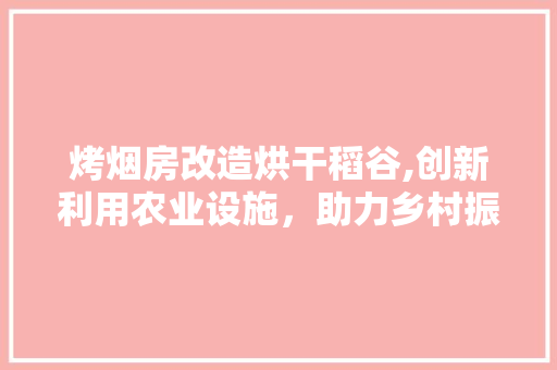 烤烟房改造烘干稻谷,创新利用农业设施，助力乡村振兴