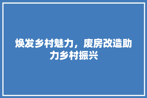 焕发乡村魅力，废房改造助力乡村振兴
