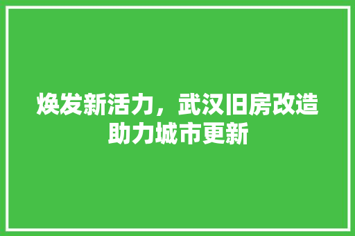 焕发新活力，武汉旧房改造助力城市更新