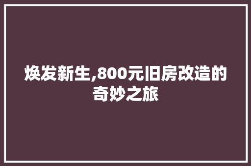 焕发新生,800元旧房改造的奇妙之旅