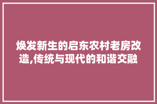 焕发新生的启东农村老房改造,传统与现代的和谐交融