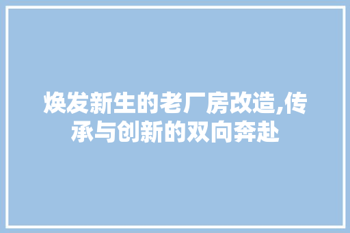 焕发新生的老厂房改造,传承与创新的双向奔赴