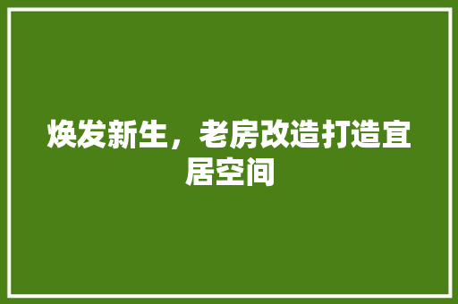 焕发新生，老房改造打造宜居空间