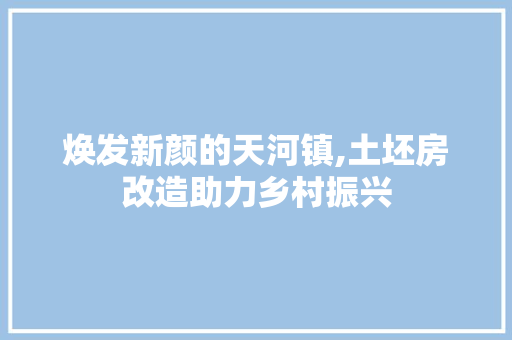 焕发新颜的天河镇,土坯房改造助力乡村振兴