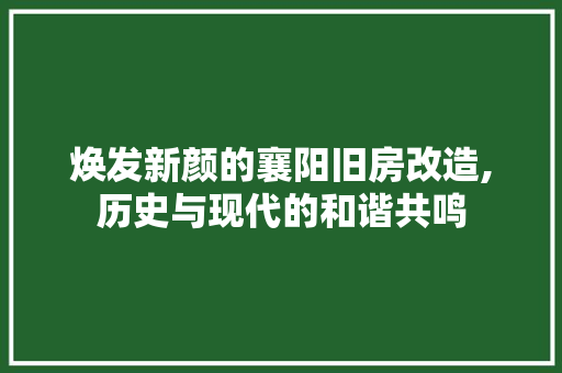 焕发新颜的襄阳旧房改造,历史与现代的和谐共鸣