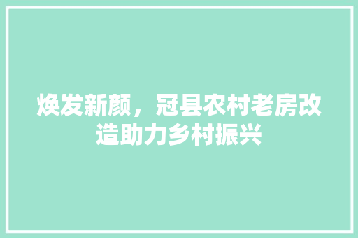 焕发新颜，冠县农村老房改造助力乡村振兴