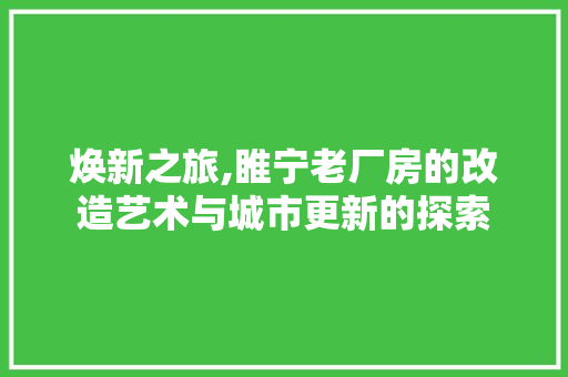 焕新之旅,睢宁老厂房的改造艺术与城市更新的探索