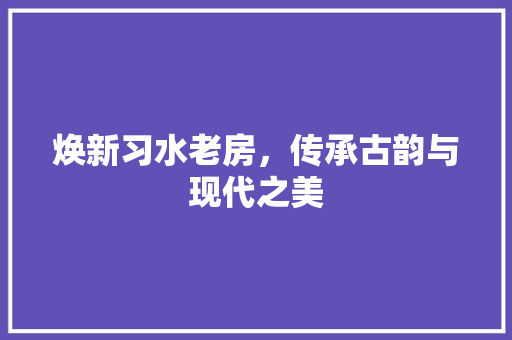 焕新习水老房，传承古韵与现代之美
