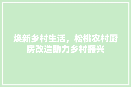 焕新乡村生活，松桃农村厨房改造助力乡村振兴