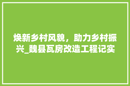 焕新乡村风貌，助力乡村振兴_魏县瓦房改造工程记实