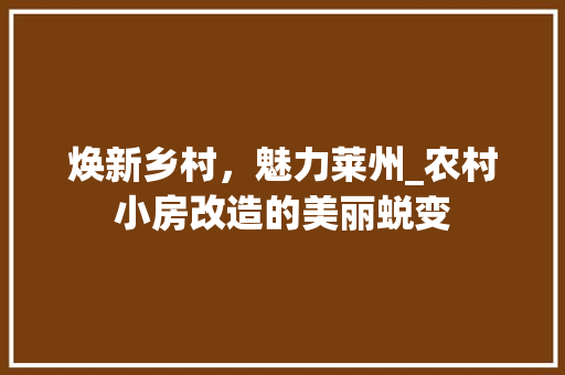 焕新乡村，魅力莱州_农村小房改造的美丽蜕变