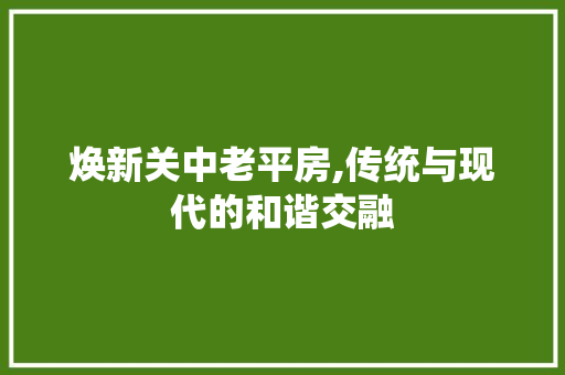 焕新关中老平房,传统与现代的和谐交融