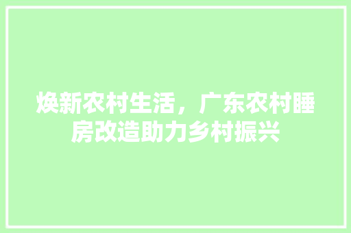 焕新农村生活，广东农村睡房改造助力乡村振兴