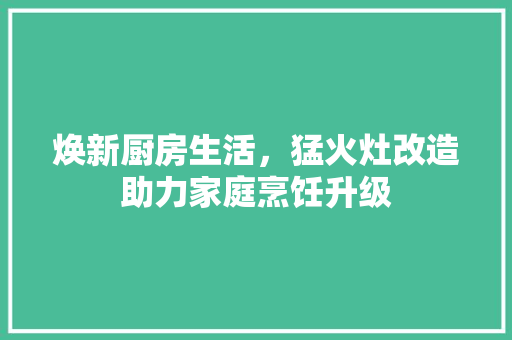焕新厨房生活，猛火灶改造助力家庭烹饪升级