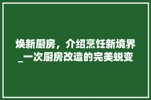 焕新厨房，介绍烹饪新境界_一次厨房改造的完美蜕变